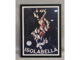 Isolabella Jester Abstract Framed Art