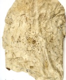 Buffalo Robe with Drawings