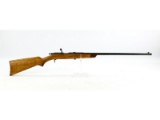 Springfield Arms .22 Single Shot Rifle