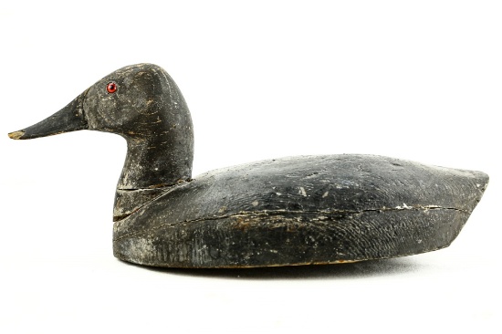 Canvasback Hen Duck Decoy