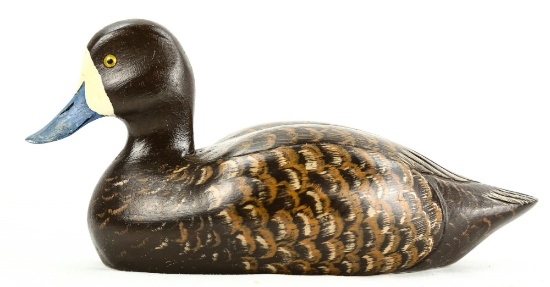 "Lesser Scaup" Duck Decoy