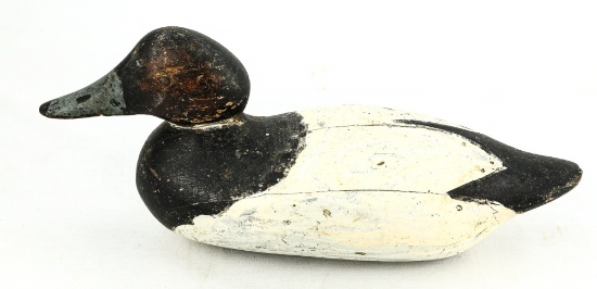 Canvasback Drake Duck Decoy