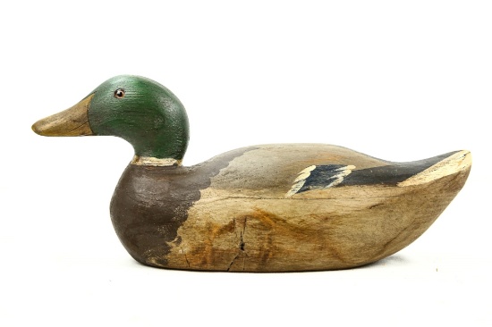 Mallard Drake Duck Decoy