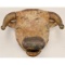 Cast Iron Bull Head Perfume Dispenser