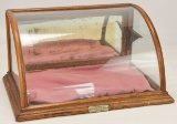 Antique Oak Gum Case Counter Top