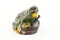 Kilgore Mfg Co Frog on Rock CI Mechanical Bank