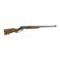 Marlin Golden 39A 22 Rifle