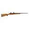 CZ 550 American Rifle .22-250 Rem