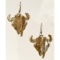 Handmade Sterling Silver Buffalo Skulls Earrings