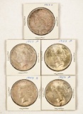 Lot of 5 American Silver Peace Dollars