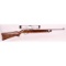 Ruger SS 10/22 Rifle .22LR SN: 235-96013 (M)