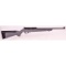 Ruger 10/22 Collector Rifle .22LR SN:RCS2-21652(M)