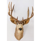 7-Point Buck mount