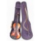Mini/Small Childs Violin W/Bow & Case