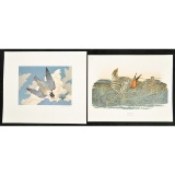 Richard Sloan Peregrine Falcon Prints (2)