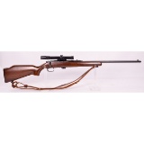 Remington Model 581 Rifle .22S/L/LR (M)