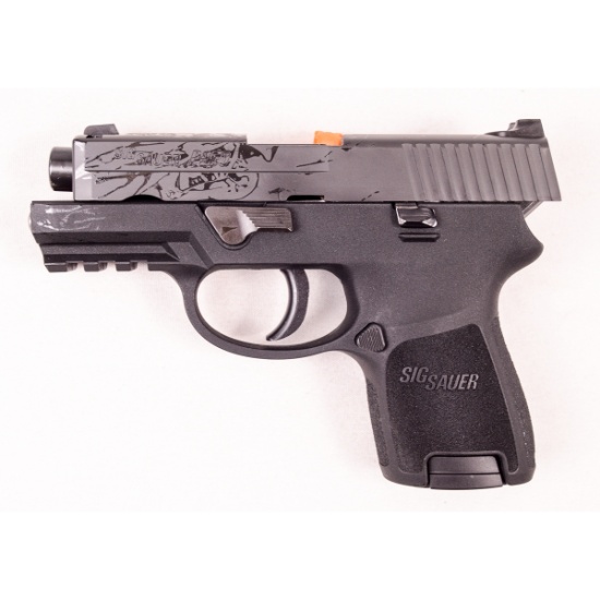 SIG Sauer P250 .40cal (M)