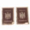 Pair OF WWII German Labor Arbeitsbuch ID Books