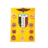 Gulf War Iraqi Army Patch & Insignia Display Board