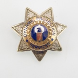Dynamic Protection Services 7 Point Star #250