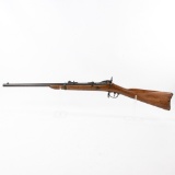 Springfield 1884 45-70 22
