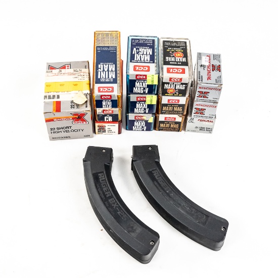 Lot of Rimfire Ammunition & Magazines