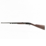 Remington 12 22lr TD Rifle (C) 131057