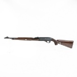 Remington Nylon 66 