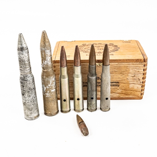 INERT 20mm and 50 cal Dummy Rounds