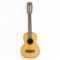 Regal 10 String Tiple Ukelele