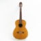Acoustic Guitar