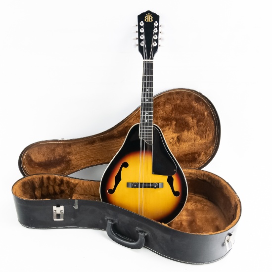 Contemporary Mandolin