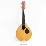 Mandolin For Repair