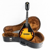 Contemporary Mandolin