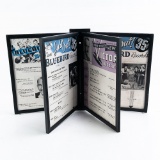 Wall Mounted Music Store Record Ad Display
