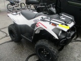 2021 Kawaski Brute Force 300 4Wheeler