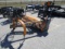 Ferri Offset Mower
