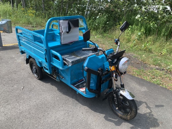 3-Wheel Electric Dump Cart