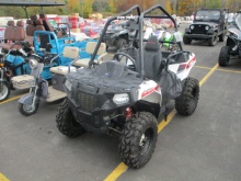 2015 Polaris Ace UTV