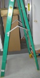 WERNER 6' FIBERGLASS LADDER