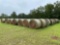 BAHIA HAY BALES