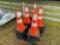 CONES (10)