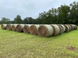 BAHIA HAY BALES