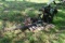 John Deere 10 sickle bar mower