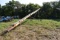 Westfield WR80-71 transport auger