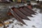 Gleaner F24 4 Row Corn Head