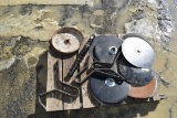 Seed Disks