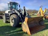2010 Terex TL210