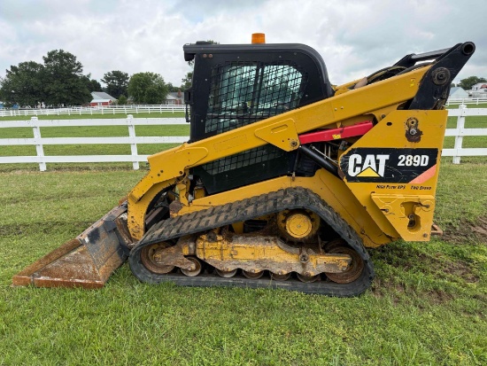 2014 CAT 289D