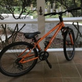 Tarpon Gary Fisher Mountain Bike